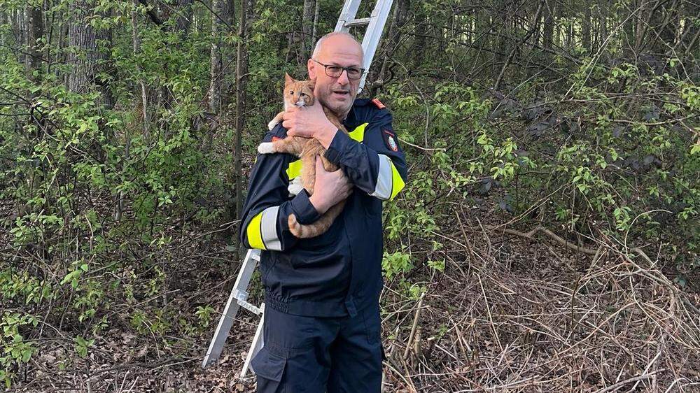 Die Feuerwehrleute brachten das entkräftete Kätzchen sicher auf den Boden zurück