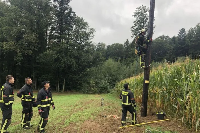 Unverzüglich wurde Kontakt mit den Energieversorgungsunternehmen aufgenommen um für die Dauer der Tierrettung den Strom abzuschalten. Nachdem der Strom für etwa 600 Haushalte ausgeschalten war, konnte mit der Durchführung der Rettung begonnen werden.