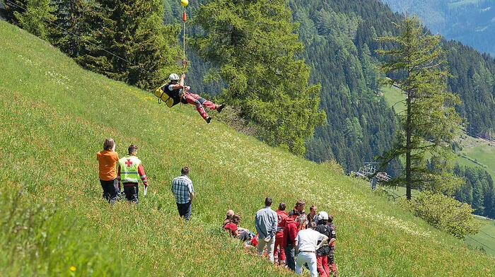Auf diese Wiese stürzte der Paragleiter ab