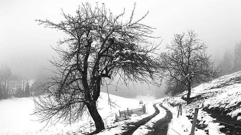 Ein Feldweg bei Kossiach/ Kozje – die Wanderungen sind auch wintertauglich