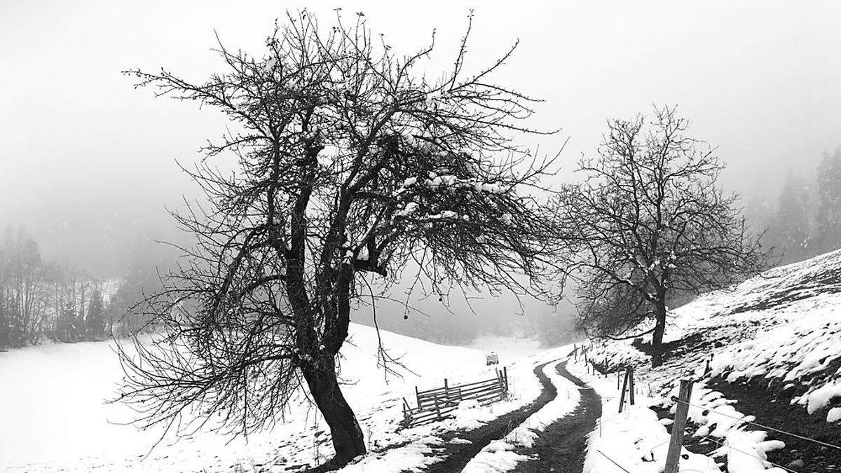 Ein Feldweg bei Kossiach/ Kozje – die Wanderungen sind auch wintertauglich