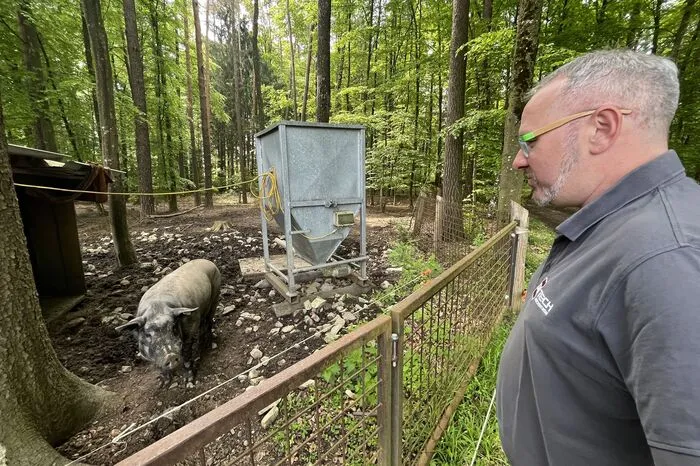 Wolfgang Dunst mit dem beeindruckenden Eber "Pablo".