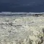 This image made from video provided by Australian Broadcasting Corp., shows foam washing up on beach Monday, March 17, 2025, in Waitpinga, near Adelaide. (Australian Broadcasting Corp via AP)