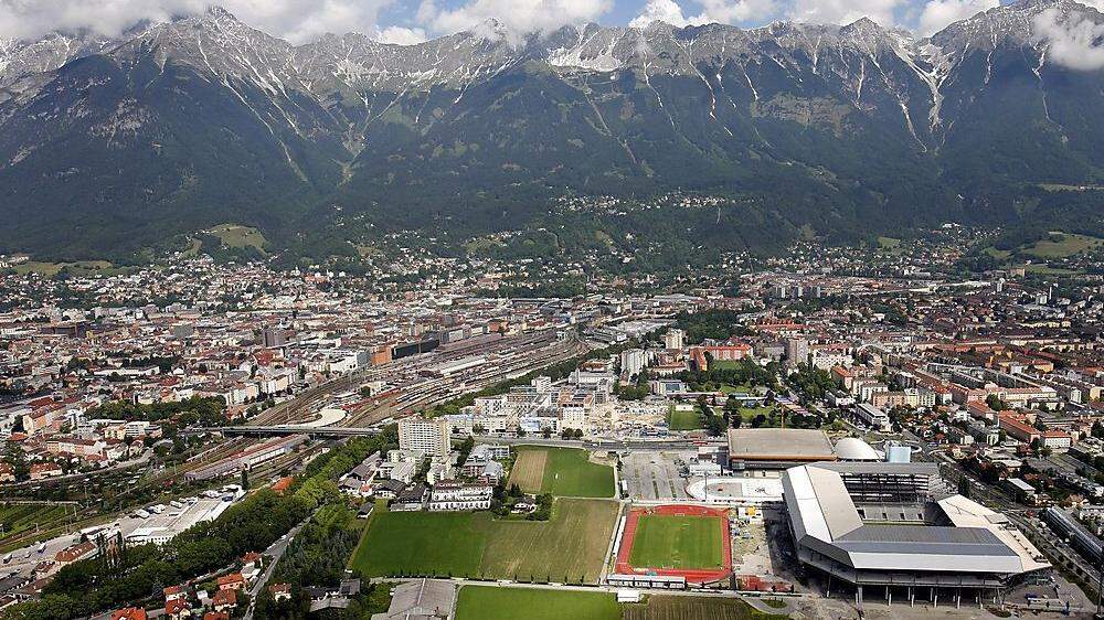 Kugelspinne in acht Wohnungen in Innsbruck eingenistet 