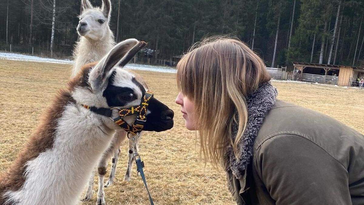 Nicht nur zum Spazierengehen sind die Lamas da, auch ihre Wolle wird verarbeitet