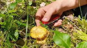 Die Polizei bittet um Hinweise