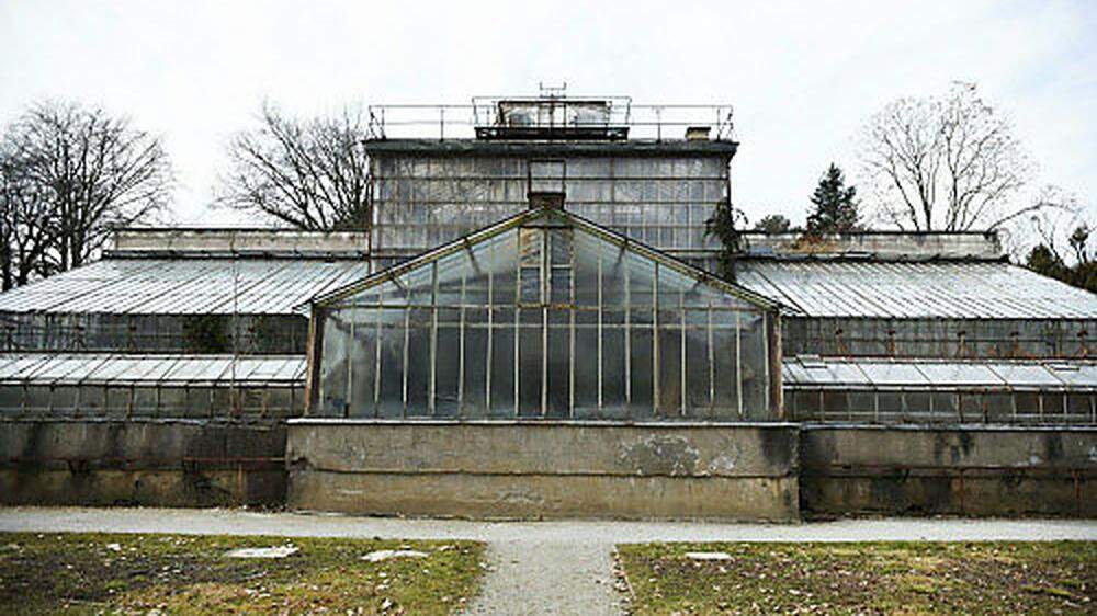 Das alte Gewächshaus im Botanischen Garten Graz wird generalsaniert