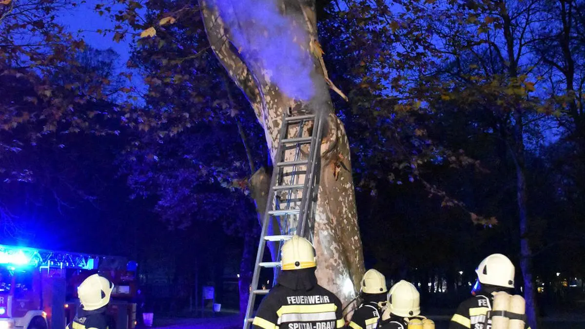 2021.11.06 - Brand eines Baumes Schlosspark Porcia
