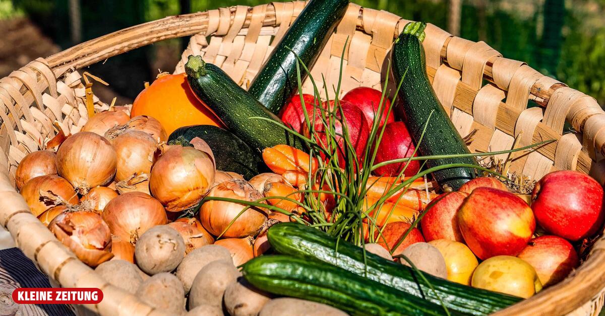 30 percent less fruit, 40 percent less vegetables this year
