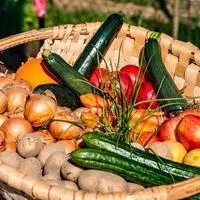 Die Obst- und Gemüsekörbe fallen heuer kleiner aus