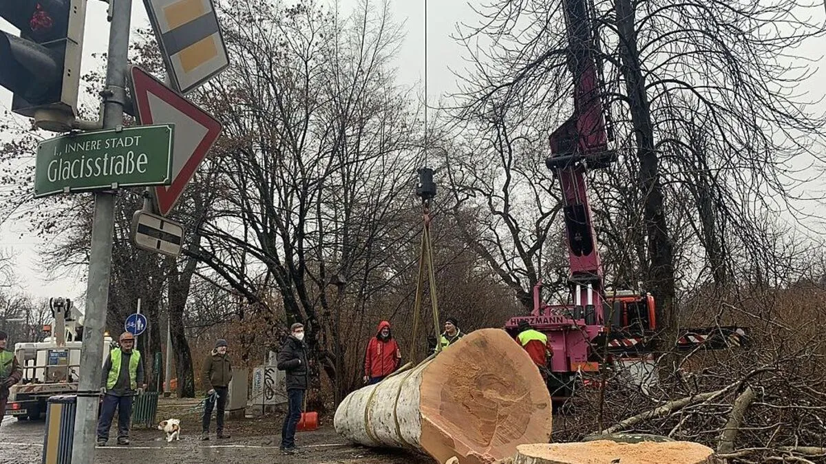Um 10.30 Uhr lag der Riese am Glacis bereits.