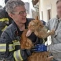 Mit vereinten Kräften konnte die Feuerwehr den Kater befreien