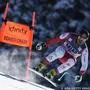 BEAVER CREEK, COLORADO - NOVEMBER 28: Daniel Hemetsberger of Team Austria skis during the Audi FIS Alpine Ski World Cup Men's Downhill training at Beaver Creek Resort on November 28, 2023 in Beaver Creek, Colorado.   Christian Petersen/Getty Images/AFP (Photo by Christian Petersen / GETTY IMAGES NORTH AMERICA / Getty Images via AFP)