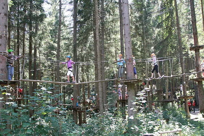 Borkenkäfer haben mehrere Bäume des Gröbminger Abenteuerparks befallen, das Ausflugsziel ist vorübergehend geschlossen.