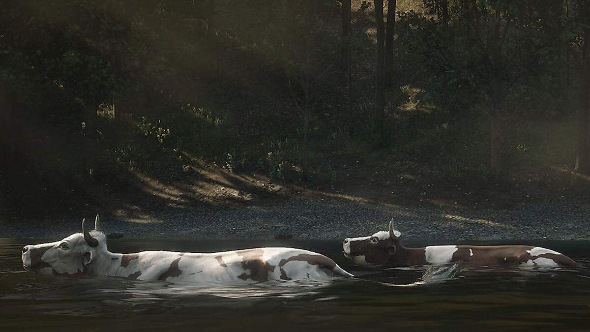 Alles ist im Fluss, auch die Kühe: Projekt &quot;Murpod&quot; von Total Refusal