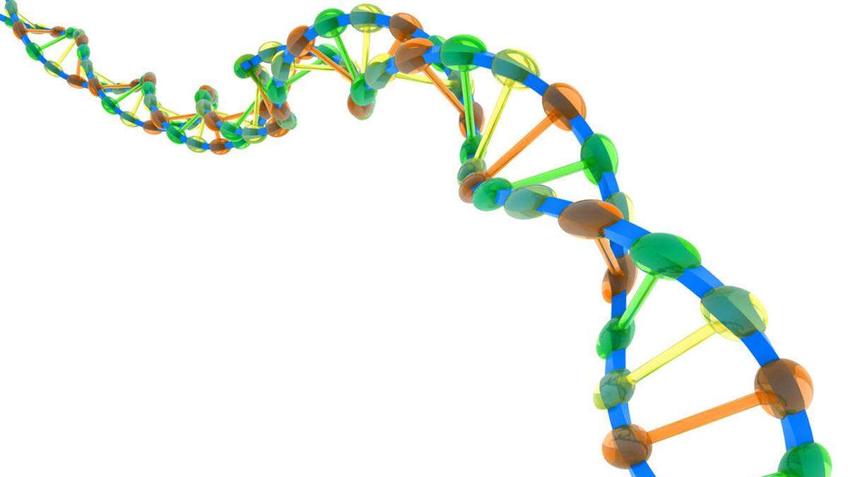 DNA-Struktur