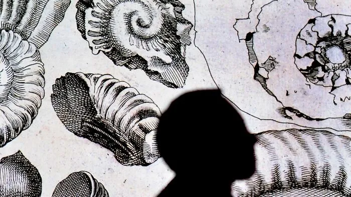 Beim "Codex Leicester" handelt sich um das einzige in Privatbesitz befindliche Manuskript des italienischen Renaissance-Malers und Bildhauers Leonardo da Vinci.