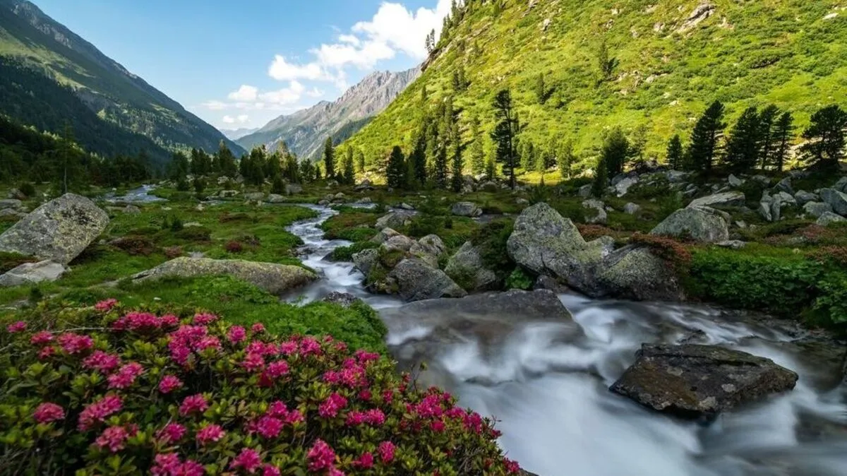 Ohne die vielen Wegbereiter würde es das Dorfertal in Kals in dieser Einzigartigkeit nicht mehr geben. Ein Stausee mit dem damals größten Kraftwerk Österreichs wäre entstanden