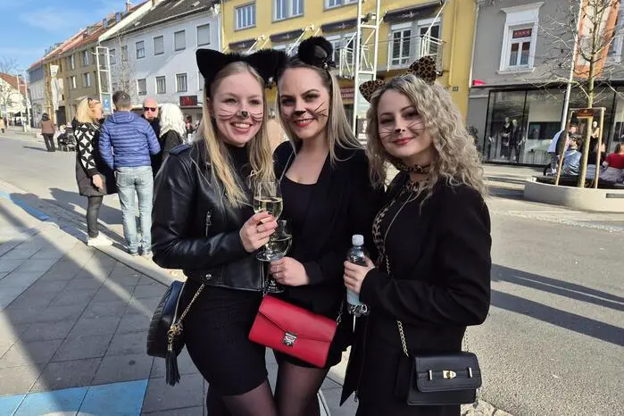 ...andere waren tierisch unterwegs