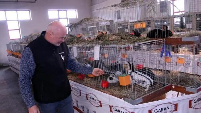 Zur Kleintierschau im Bauhof Stallhofen lud am vergangenen Wochenende der Kleintierzuchtverein ST 21 Voitsberg unter Obmann Gerfried Peiner ein.