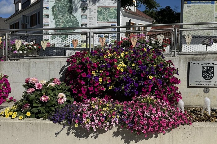 Kategorie „Schönstes Gebirgsdorf“: Platin und fünf Floras für Strallegg 