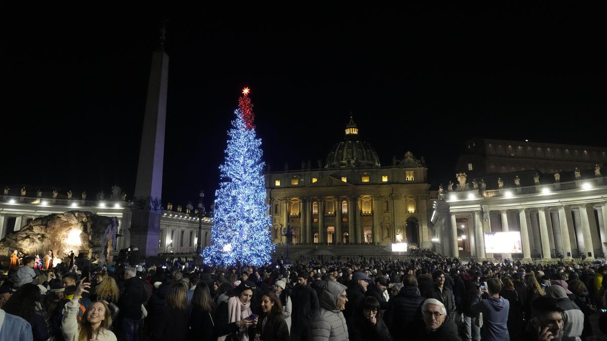 Ein Nadelbaum wird zum Zankapfel.