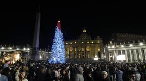 Ein Nadelbaum wird zum Zankapfel.