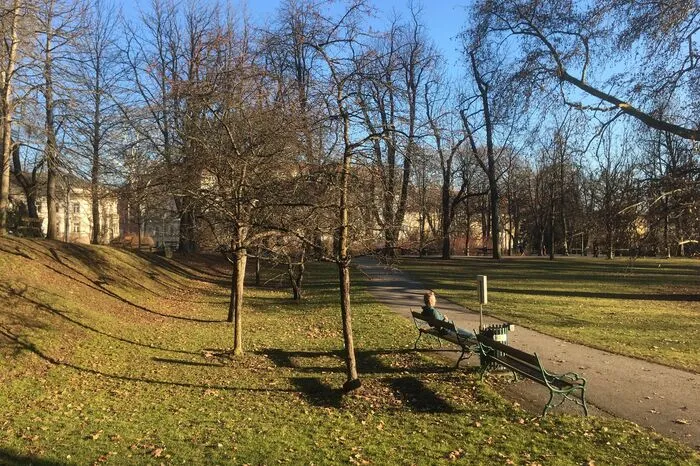 Ende Jänner war es tageweise schon angenehm warm...
