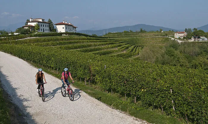 Radtour durch das Hügelland. Im Collio, auch in kullinarischer Hinsicht, ein einmaliges Erlebnis