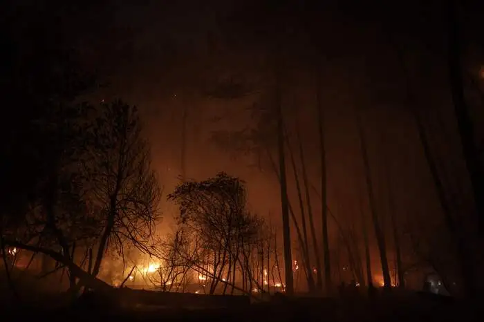 Das Feuer war nach ersten Erkenntnissen durch überhitzte Bremsen eines Güterzugs ausgelöst worden. Diese hatten einen Funkenflug verursacht. Etwa 300 Hektar Wald gingen in Flammen auf.