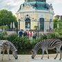 Ein Streifzug durch den Tiergarten Schönbrunn