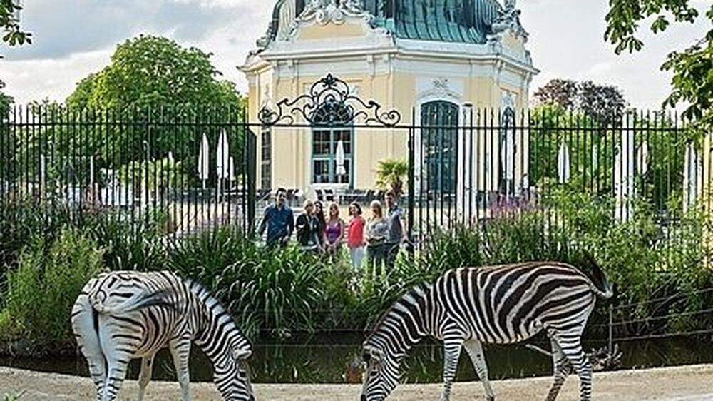 Ein Streifzug durch den Tiergarten Schönbrunn