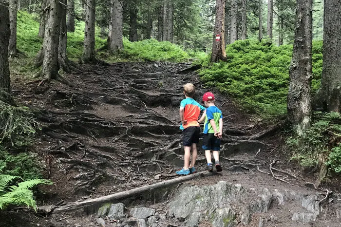 Danach geht es in den Rauriser Urwald