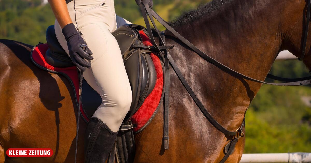 Bruck-Mürzzuschlag:Schwerer Reitunfall: Frau nach Sturz mit ...