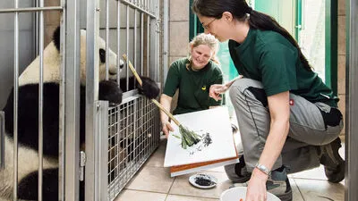 Die Bilder des malenden Schönbrunner Panda-Weibchens Yang Yang sind nur noch bis kommenden Freitag erhältlich