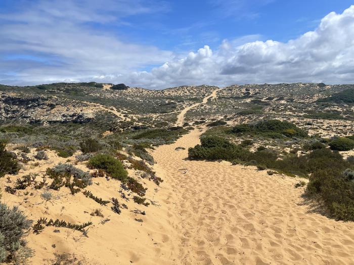 Wege durch Sand, mitten in der Natur - Pilgern hat auch starke Entschleunigungsmomente 