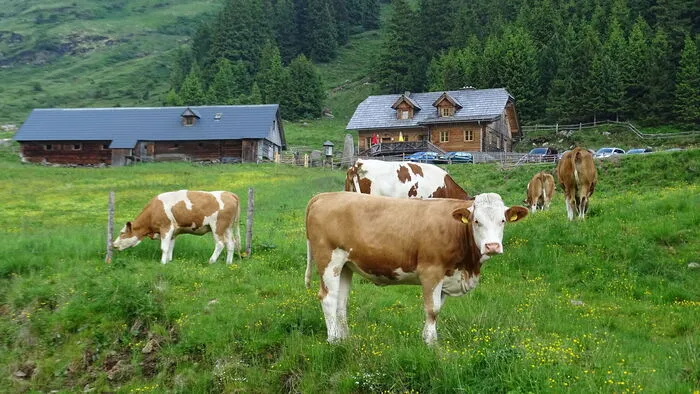 Wandertouren haben wieder Hochsaison.