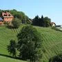 Am Kehlberg