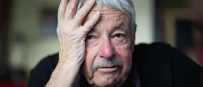 Autor Slobodan Šnajder