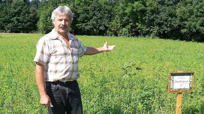 Auf diesem Grundstück in Tillmitsch möchte "Storchenvater" Helmut Rosenthaler seine neue Storchenstation errichten