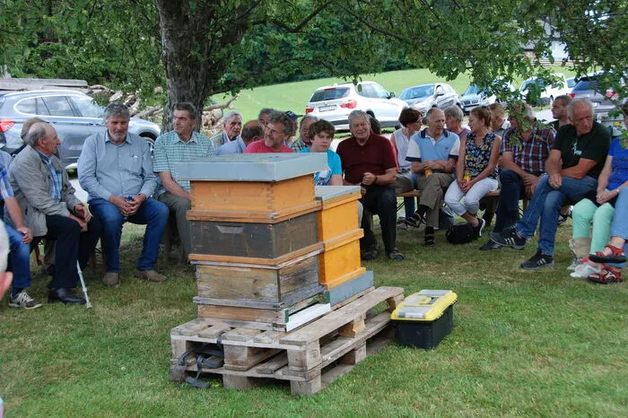 Beim heurigen Treffen widmeten sich die Imker sowohl der richtigen Behandlung gegen die Varroa-Milbe. Aber auch Themen wie Melizitose oder die Vergrößerung des Honigraums bei Bienenstöcken wurde diskutiert.