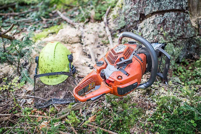 Mönichwald: Bei Forstarbeiten abgestürzt - 67-Jähriger tot