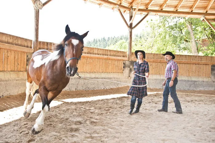 Arbeiten mit den Pferden im "Roundpen"