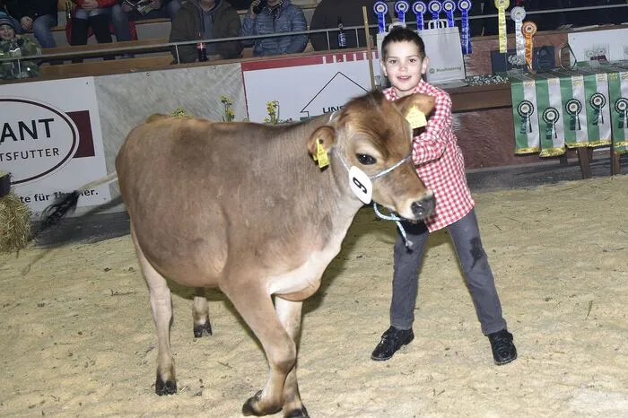 In der Steiermark gibt es neun Jungzüchterclubs, sie alle waren bei diesem Wettbewerb mit ca. 140 Jungtieren und Kalbinnen bis zum Alter von drei Jahren vertreten