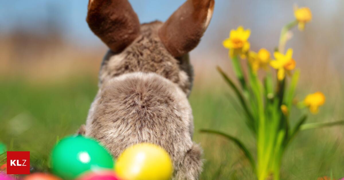 Wetter-im-Bezirk-Leoben-Der-Osterhase-bringt-fr-hlingshafte-Temperaturen-und-Sonnenschein