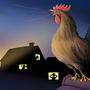 Es schont die Nerven der Nachbarn, wenn man Hahn und Hühner nachts in einem Stall einsperrt...