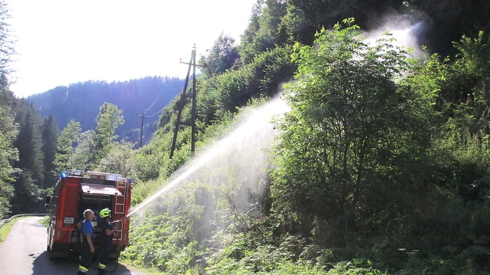 Die Freiwillige Feuerwehr Kainach wurde am Montag um 16.15 Uhr zu einem Einsatz gerufen. Im Ortsteil Gallmannsegg-Forstbauerngraben war ein eher dünner Laubbaum auf die Stromleitung gestürzt, ohne diese zu beschädigen.