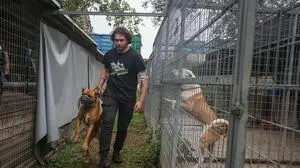 Reportage Tierheim Arche Noah, Neufeldweg 211, 8041 Graz, am 30.9. 2025.