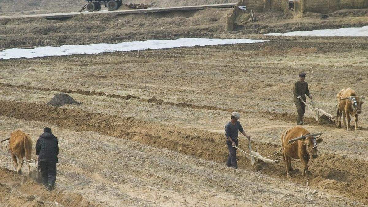 Nordkoreanische Landwirtschaft auf einem Archivbild aus dem Jahr 2005.