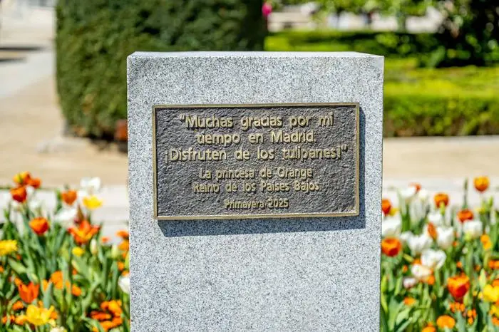 Madrid, The Netherlands, 2025-04-07 13:23:15 AMSTERDAM, 07-04-2025, Plaza de Oriente Princess Amalia unveils a plaque at the Plaza de Oriente in Madrid at the small tulip garden that she is giving to the Spanish city and its inhabitants. With this she wants to thank everyone who made her stay in the city possible, during a period under special circumstances. PHOTO: NLBeeld Credit: NL Beeld / Patrick van Emst PUBLICATIONxNOTxINxNED Copyright: xx x